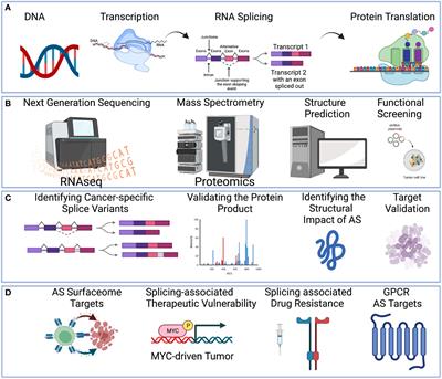 Multi-omics approach to identifying isoform variants as therapeutic targets in cancer patients